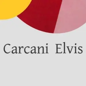 Elvis Carcani