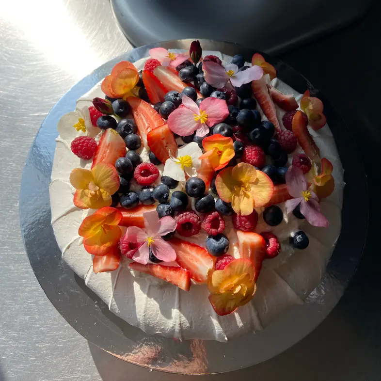 creation thumb for Pavlova