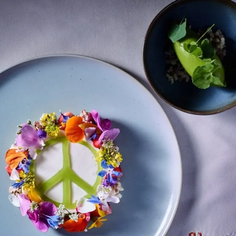 creation thumb for Sommer 2018: Holunderblütenmousse | Blüten aus dem Garten | Gurke-Sauerampfersorbet | Erdbeer | Hafer    @Anna Haumer