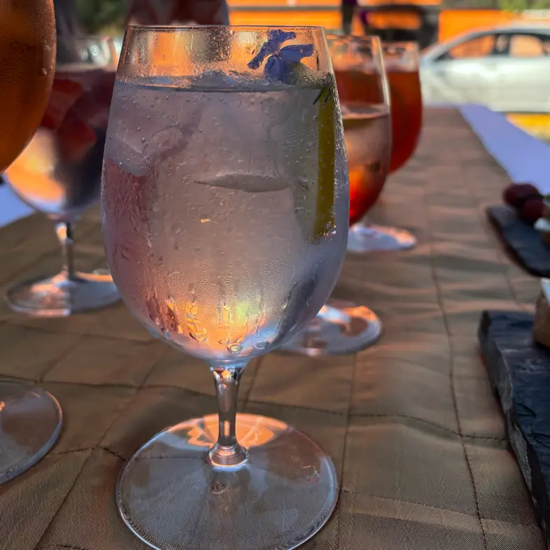 creation thumb for Gin Tonic Clásico