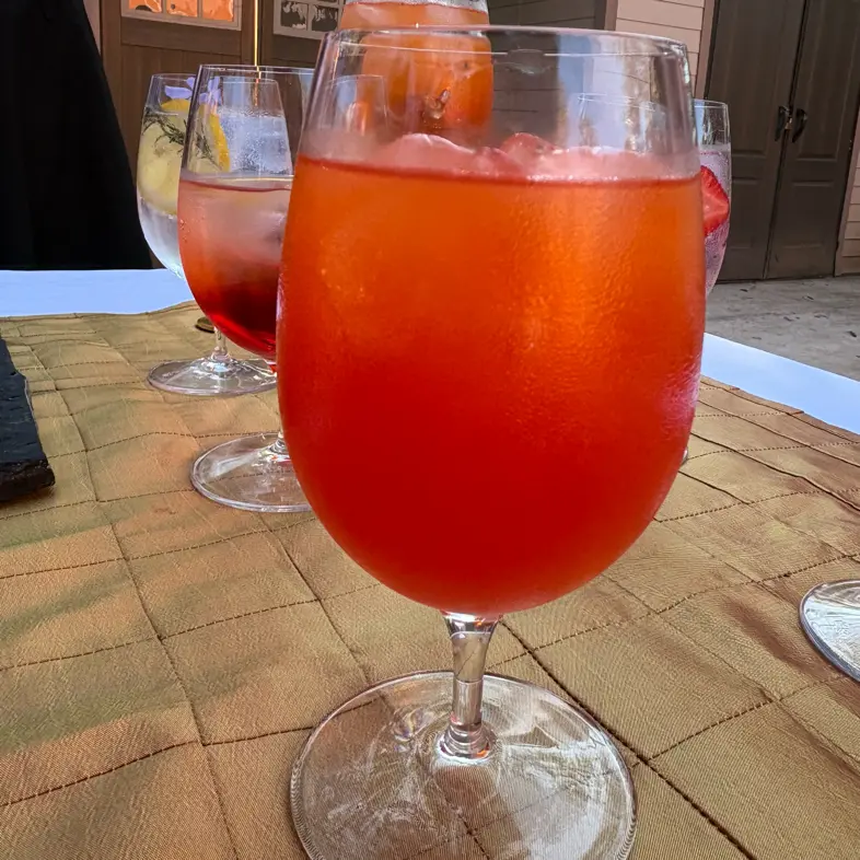 creation thumb for Campari Orange