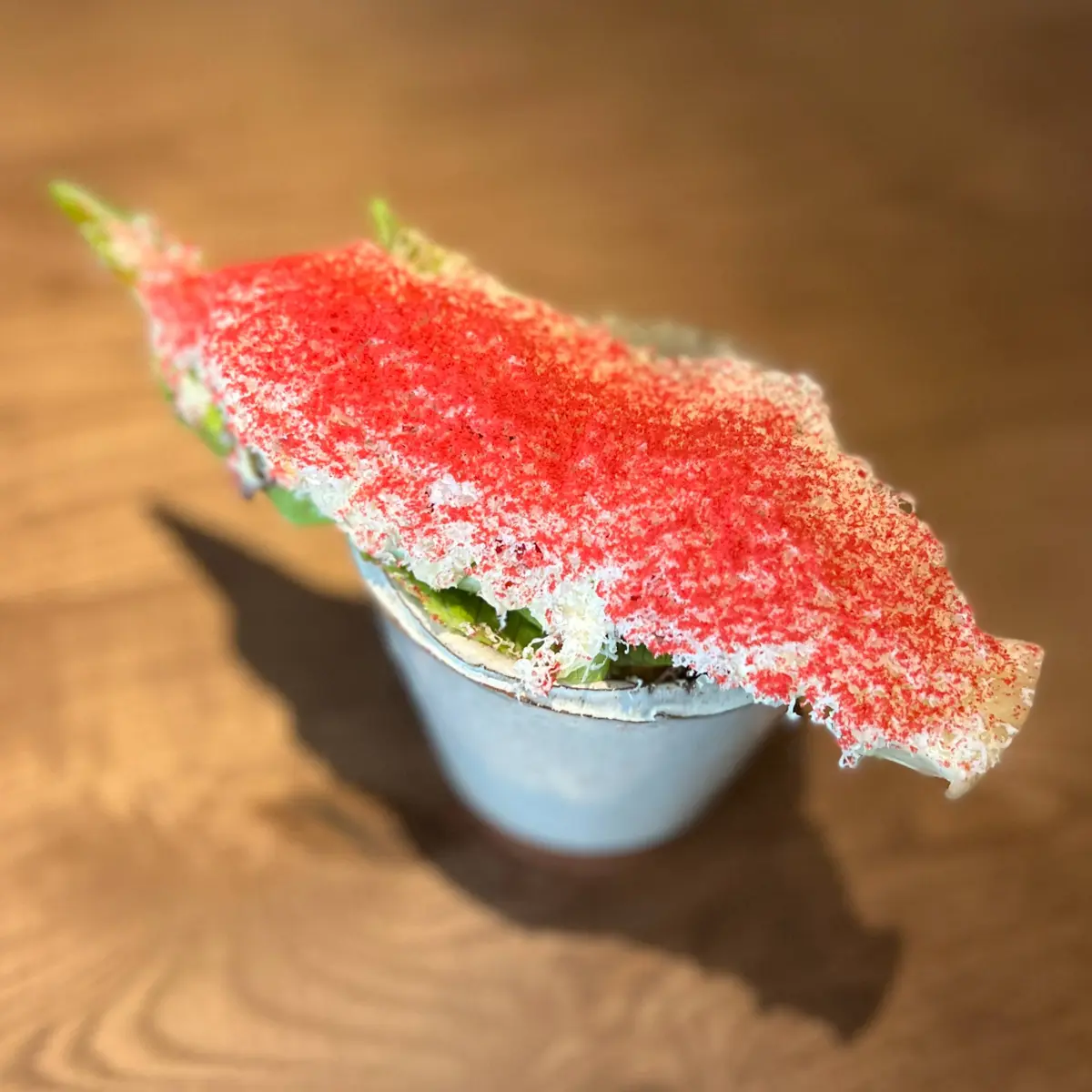 creation thumb for Ultimate Salad