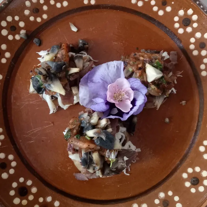 creation thumb for Memelas de huitlacoche/ cecina