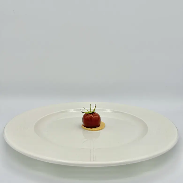 creation thumb for The tomato without tomato
