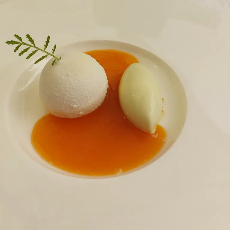 creation thumb for Apricot/quark yoghurt/grape seed oil