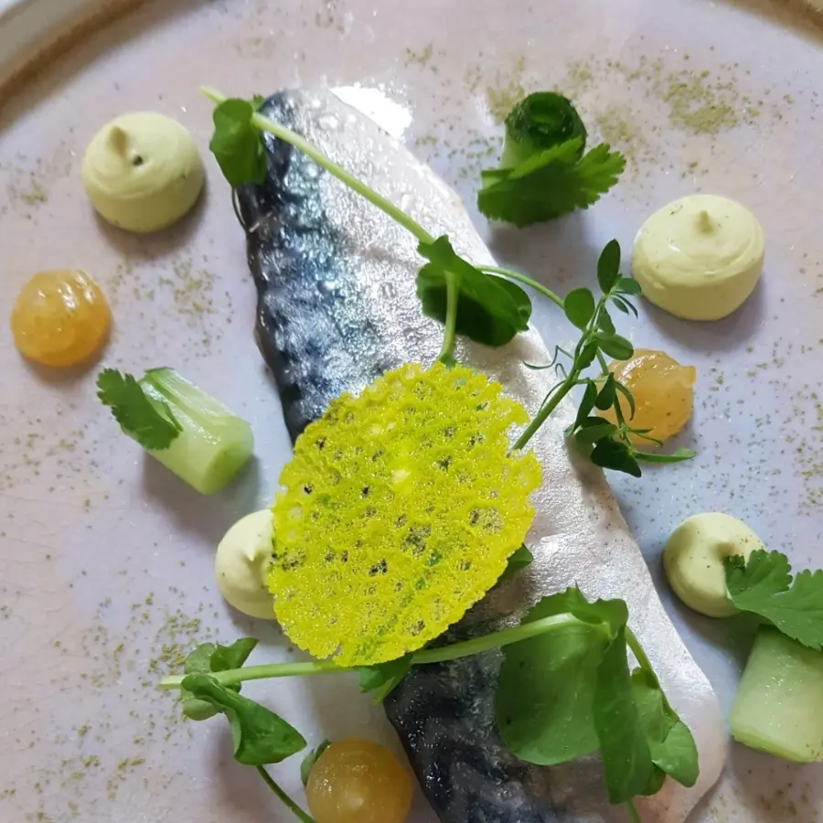 creation thumb for Makrel, mint, cucumber, lemon, soja mayonnaise