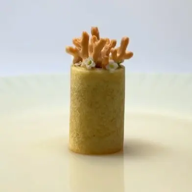 creation thumb for Scallop and X.O. Cylinder with Honey Tuile