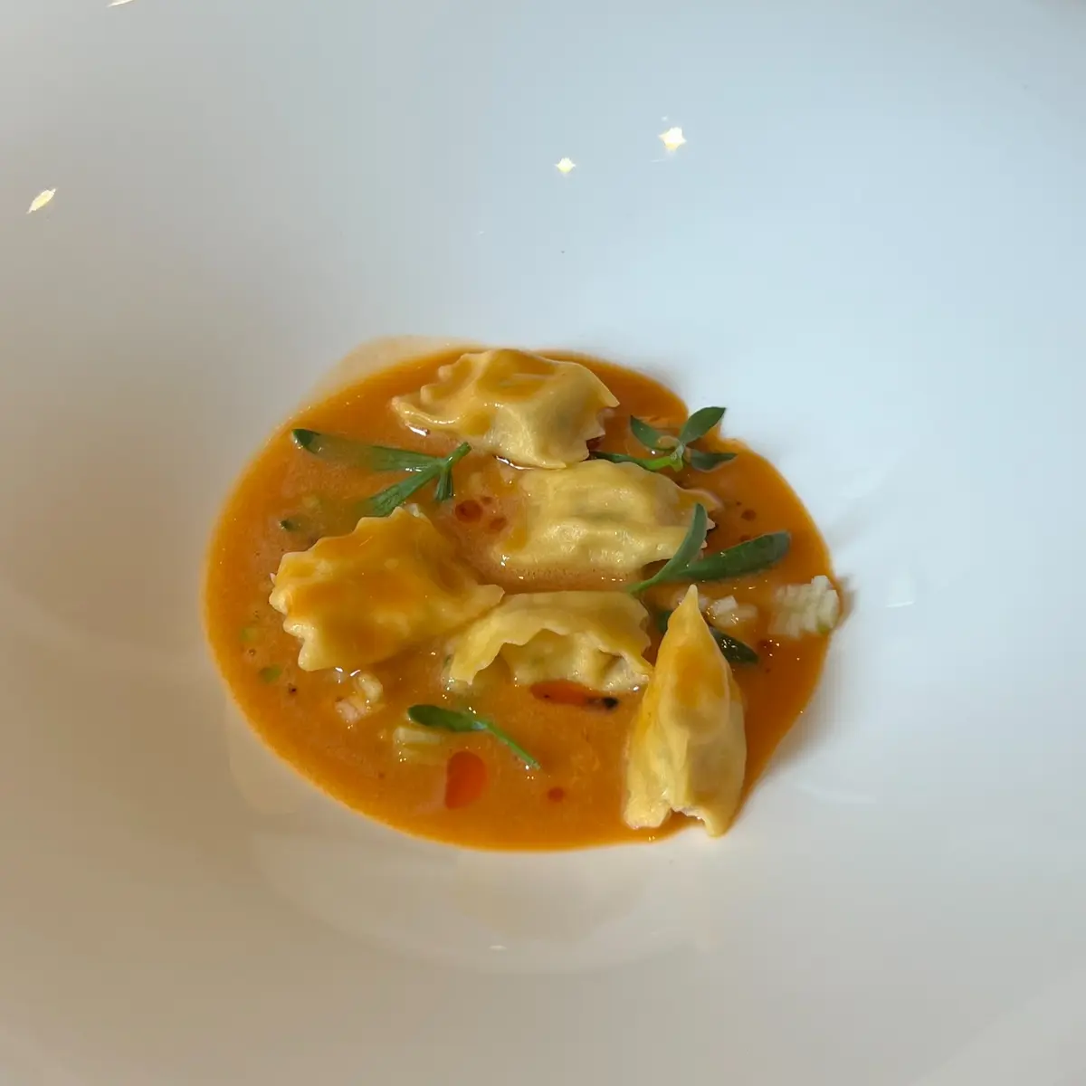 creation thumb for Ravioli del Plin with Swordfish, Cacciucco Sauce and Grapefruit