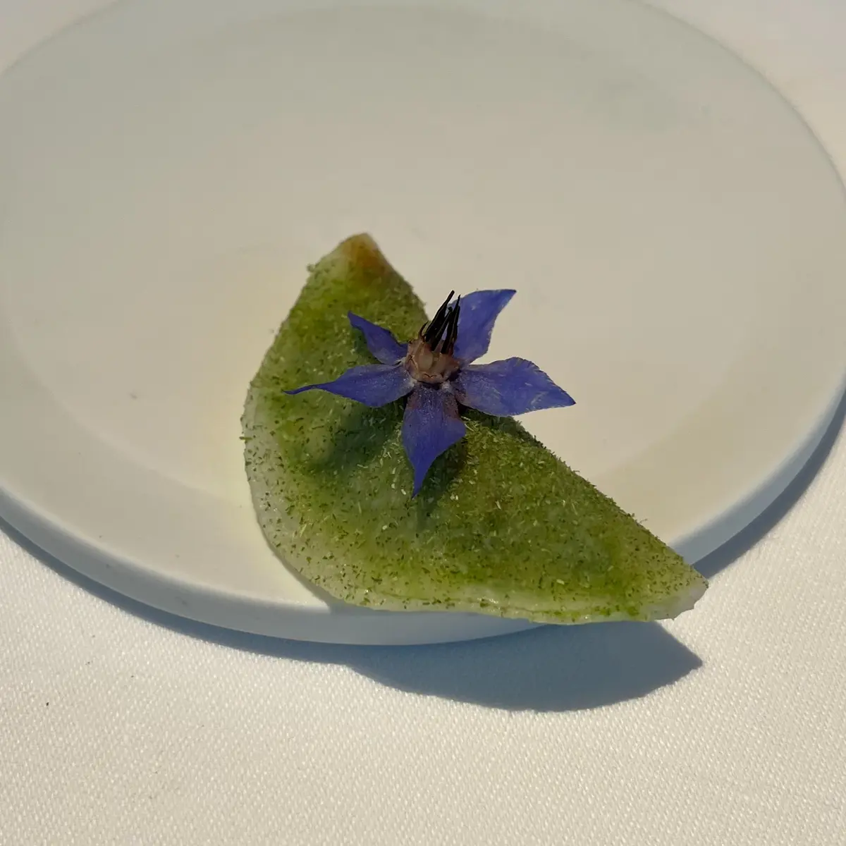 creation thumb for Kohlrabi Ravioli