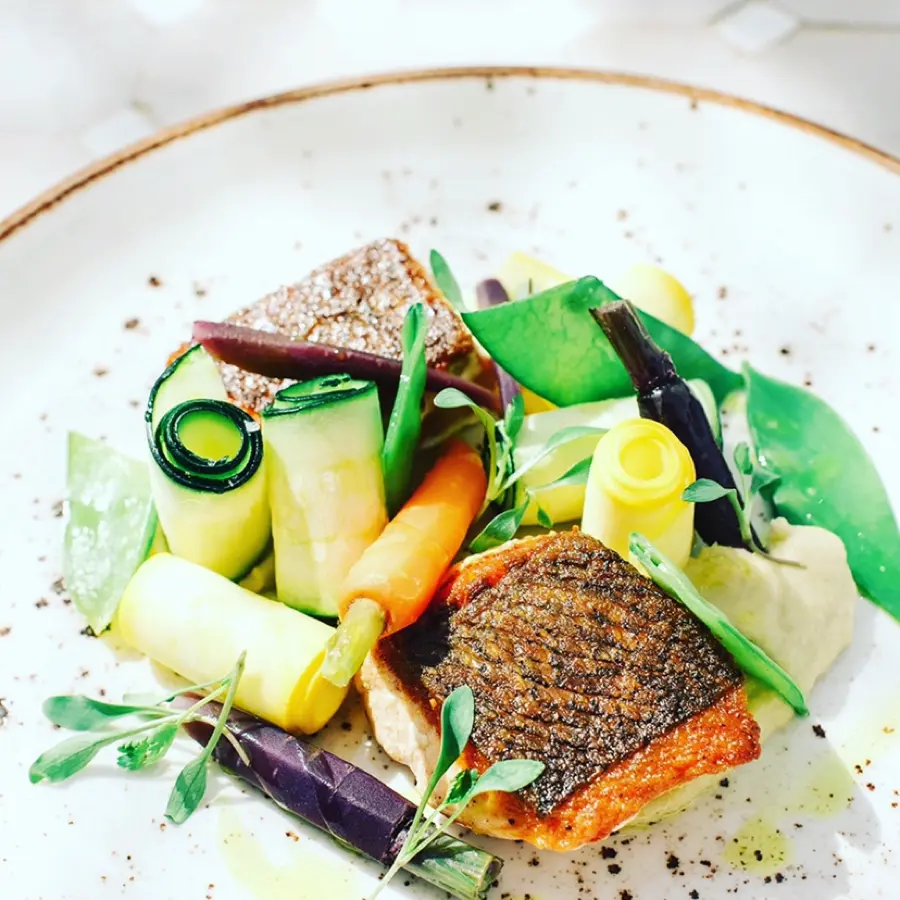 creation thumb for Salmon - yellow & green zucchini - baby carrot - fennel pure