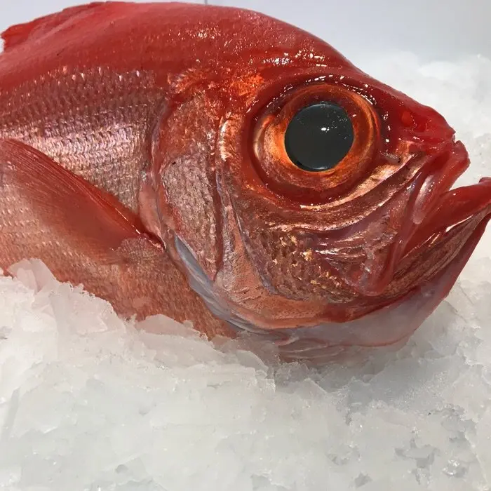 creation thumb for The best fish to sashimi