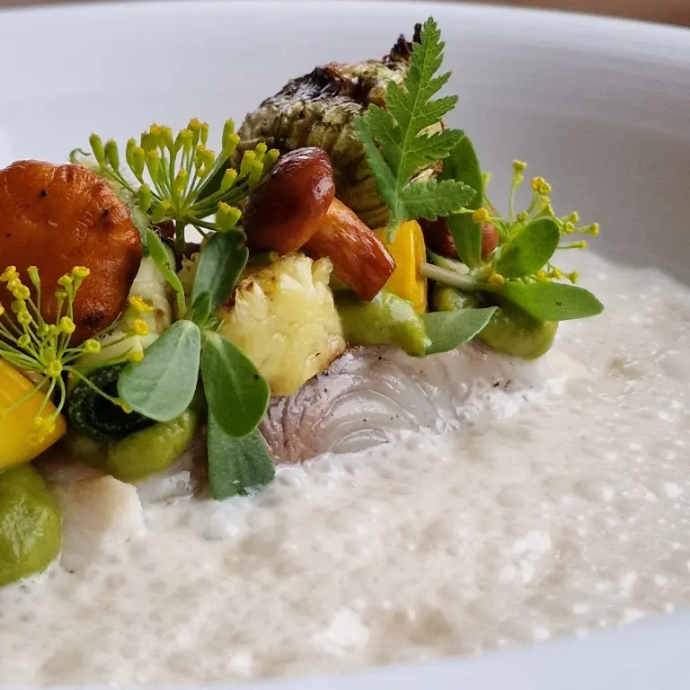creation thumb for Grilled Yellowtail Kingfish, Zucchini, Chanterelles,Soy Foam