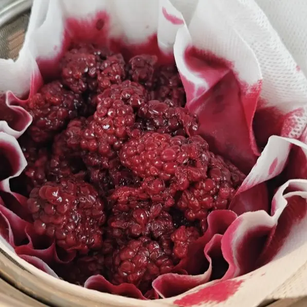 creation thumb for Lacto-Fermented Blackberries