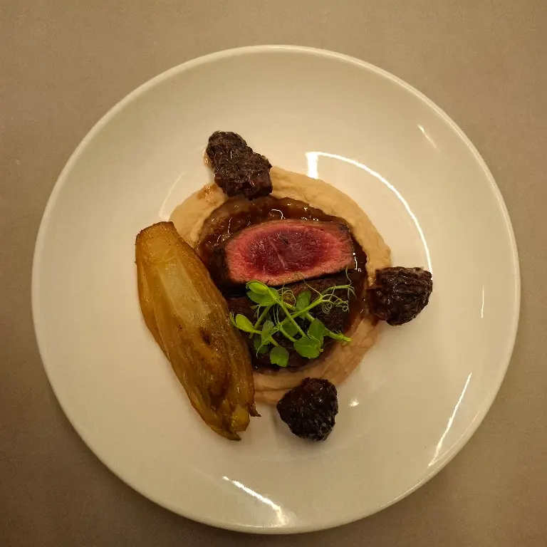 creation thumb for Tenderloin & Morel Mushroom/Bean Puree