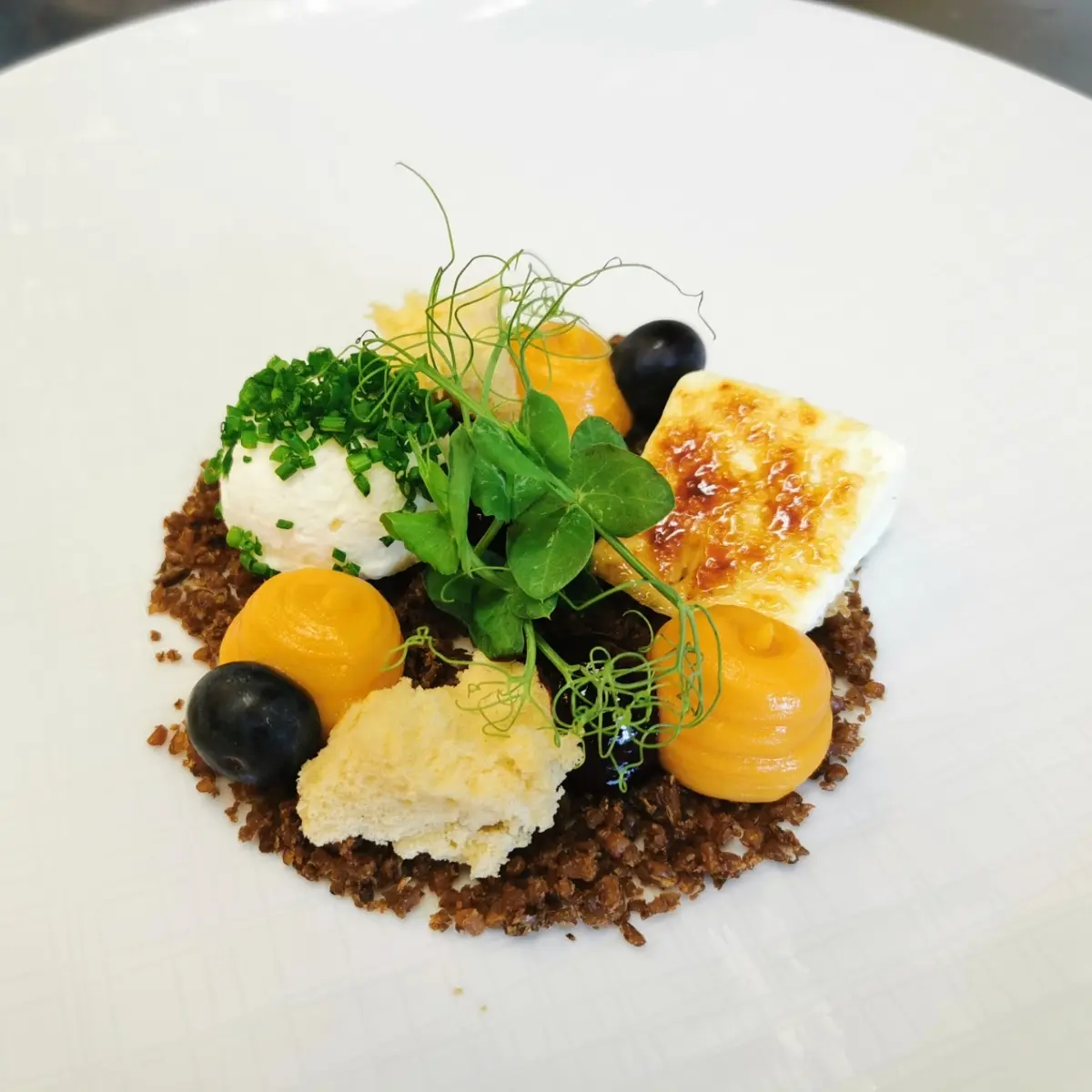 creation thumb for Goat cheese/sweet potato/blueberry