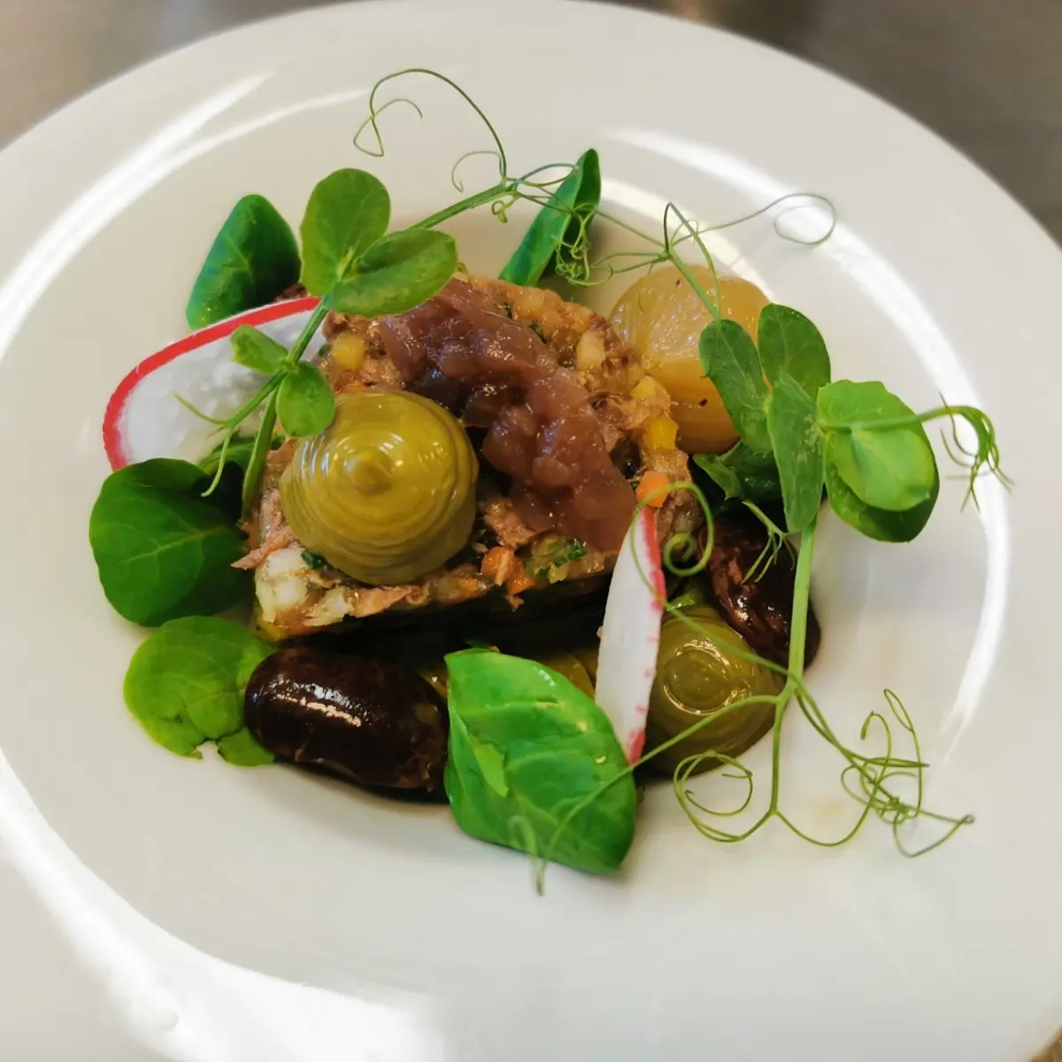 creation thumb for Boiled beef aspic with onions, scarlet runner beans, and pumpkin seed oil