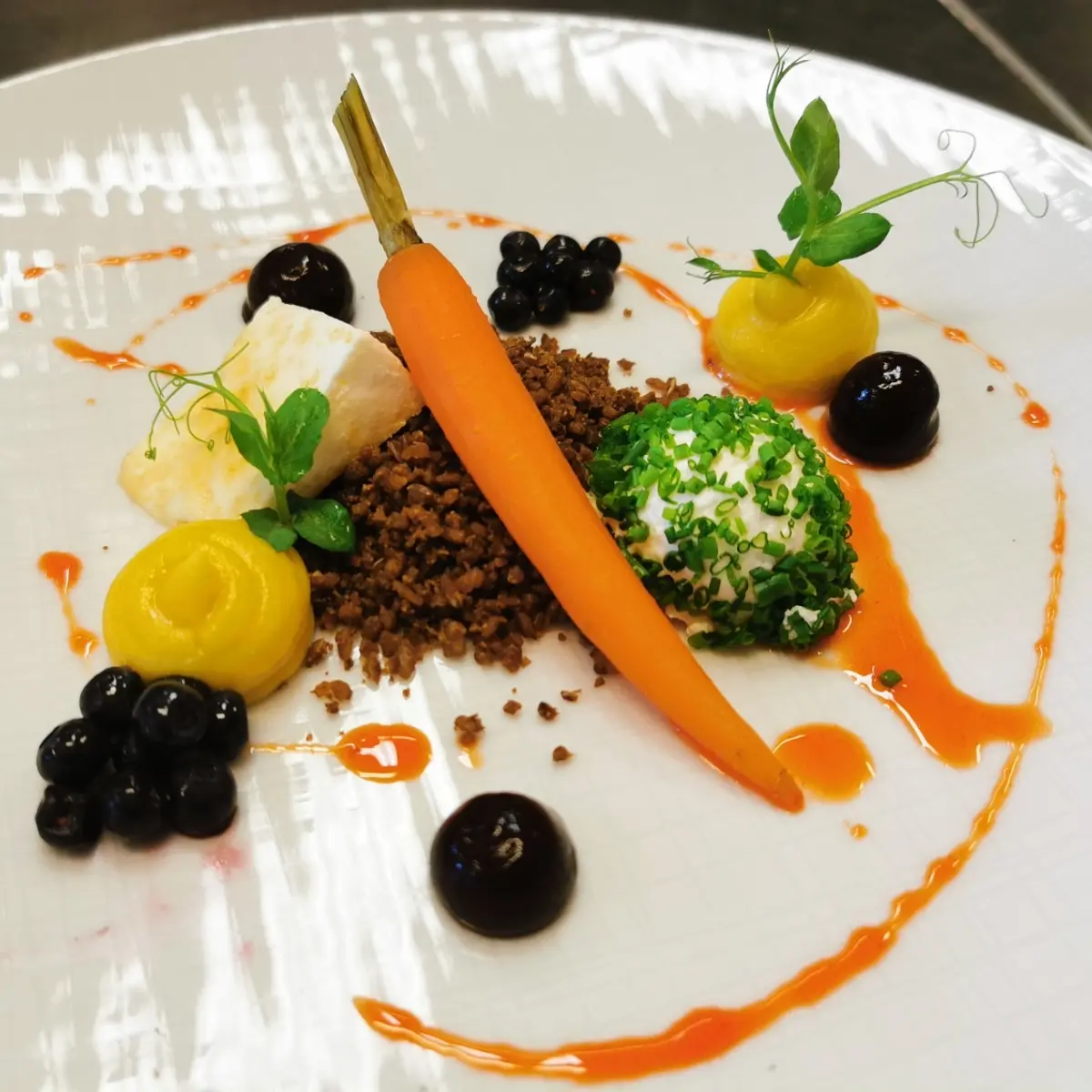 creation thumb for Sheep cheese/Carrot/Blueberry
