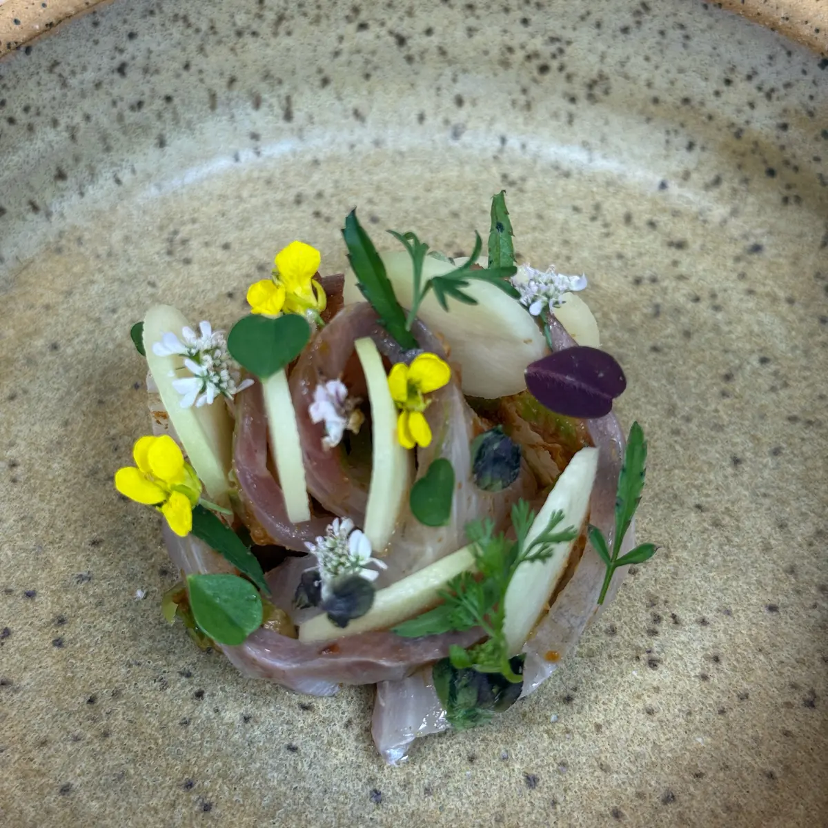 creation thumb for Hiramasa, Pickled Green Mango/Green Papaya, Green Curry