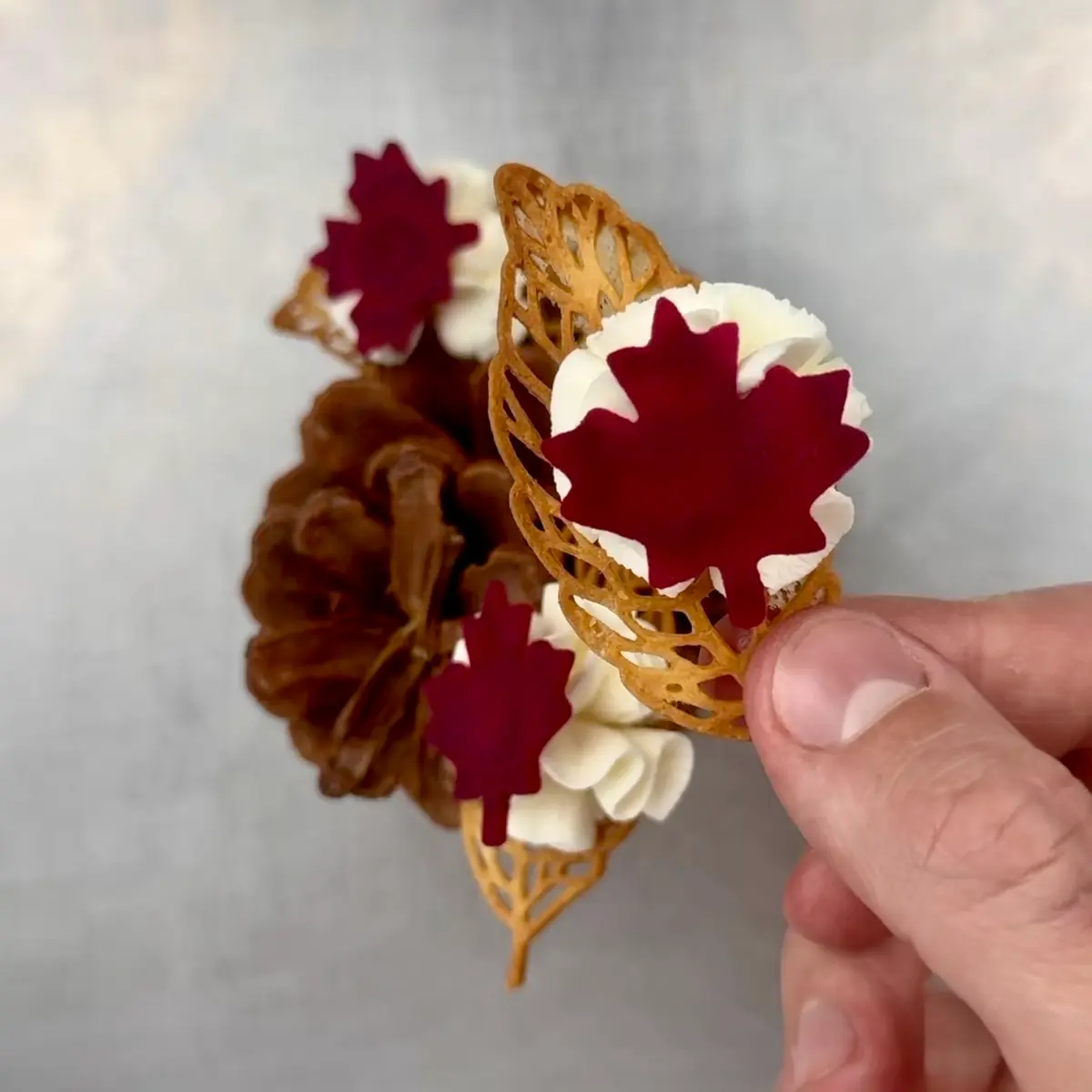 creation thumb for Parmesan tuiles, Goat Cheese mousse and pickled Beetroot
