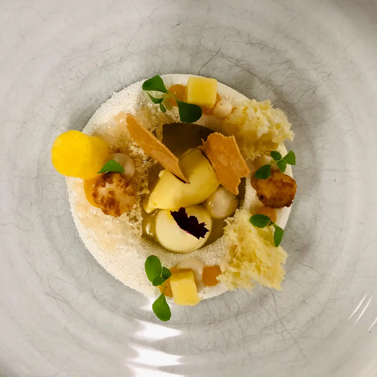creation thumb for Macadamia/Mandarine/Valrhona Schokolade/Rosmarin