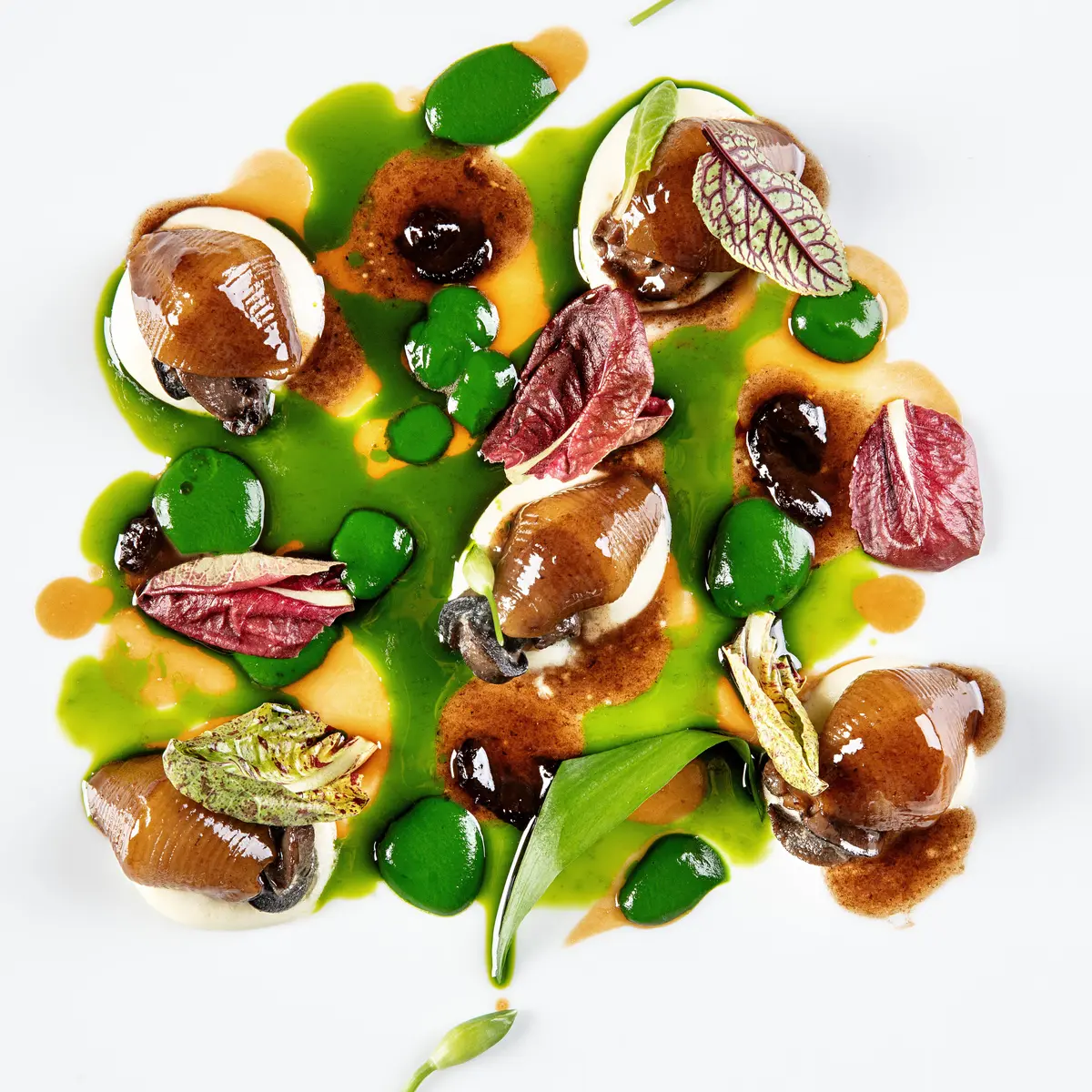 creation thumb for Pastificio Setaro shells, snails, ramps, herbs & wildflowers