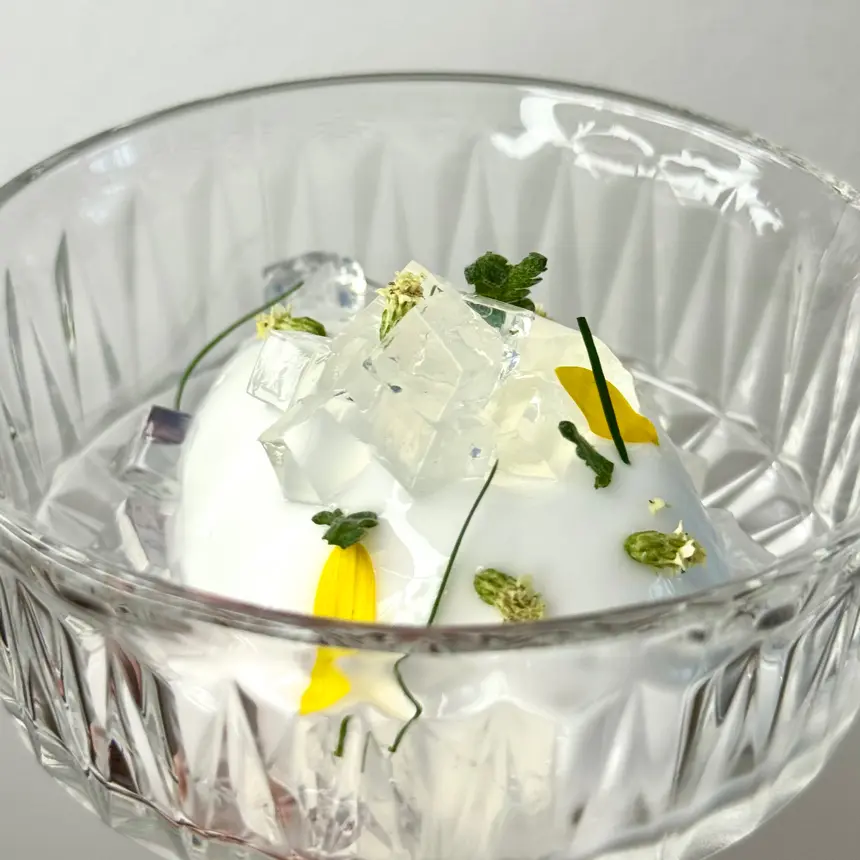 creation thumb for Tonic Water Sorbet with Gin Gelatin 🍸