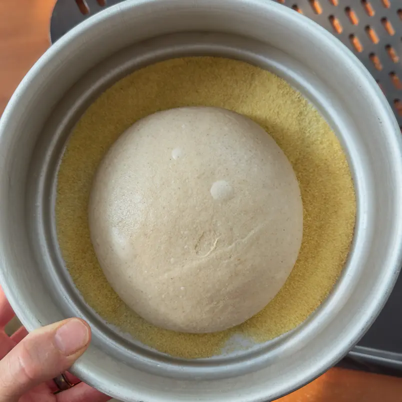 creation thumb for New York-Inspired Pizza Dough (48 Hour Cold Ferment)
