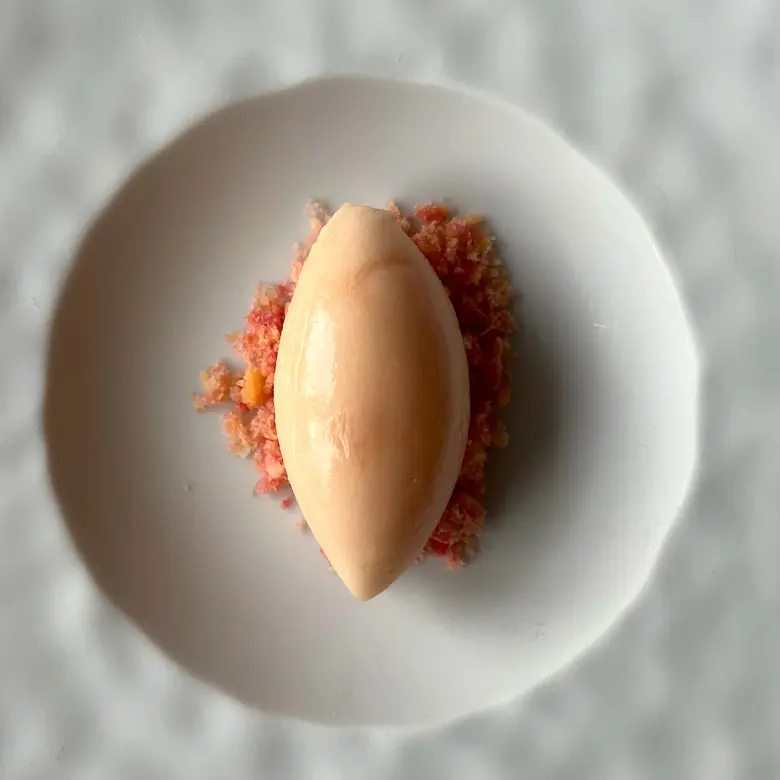 creation thumb for Blood orange sorbet