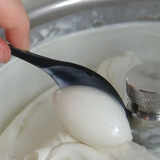 creation thumb for Coconut Cream Ice Cream