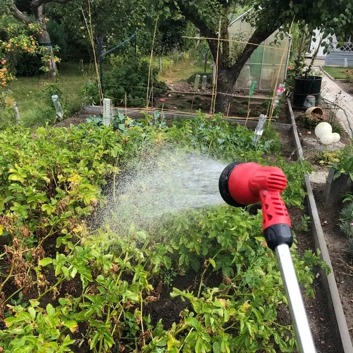 creation thumb for Tun wir einfach so als wäre es mein Garten.