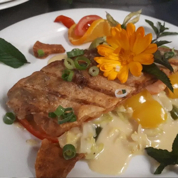 creation thumb for Gebratener Zander auf Gemüse-Kokos-Curry
