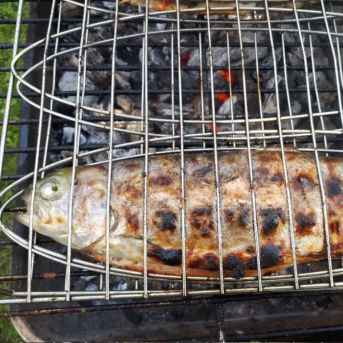 creation thumb for Gegrillte Forelle