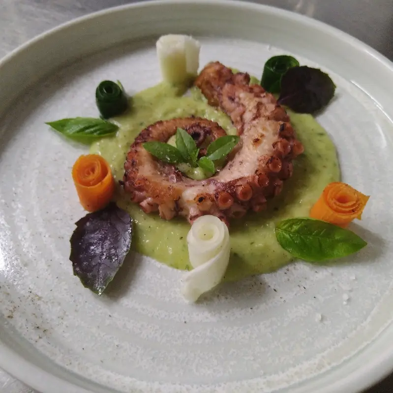 creation thumb for Grilled octopus with zucchini puree