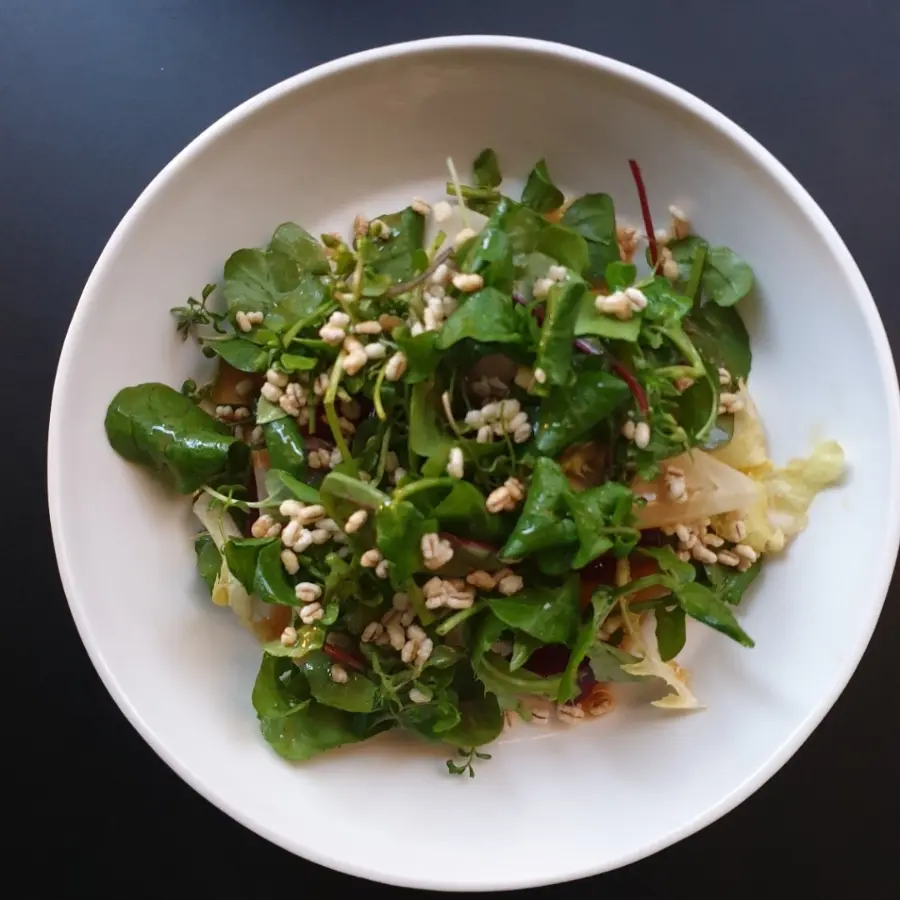 creation thumb for fancy vegan TIGER•SALAD