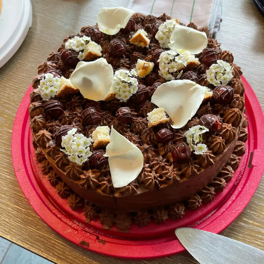 creation thumb for chocolate cake