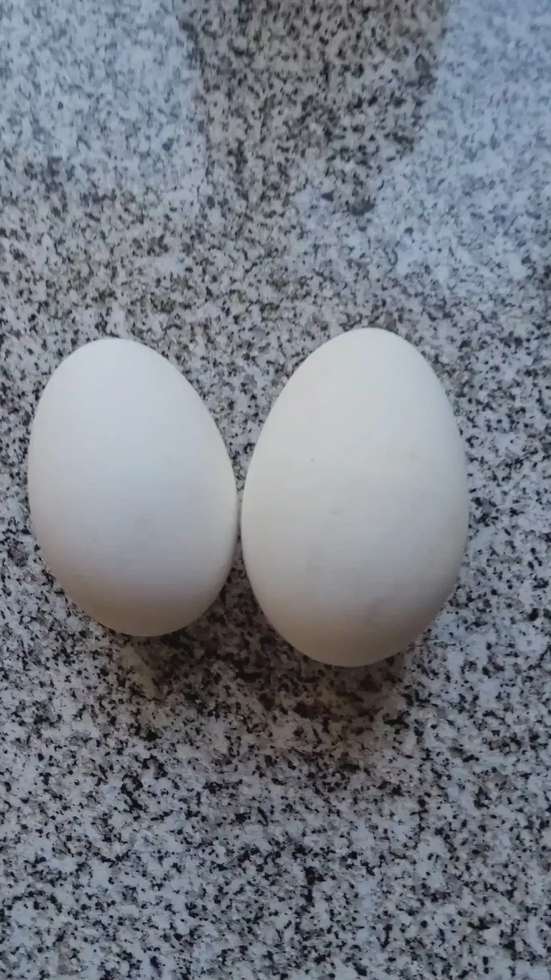 creation thumb for Goose eggs breakfast