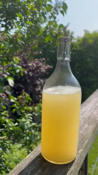 creation thumb for Sparkling elderberries