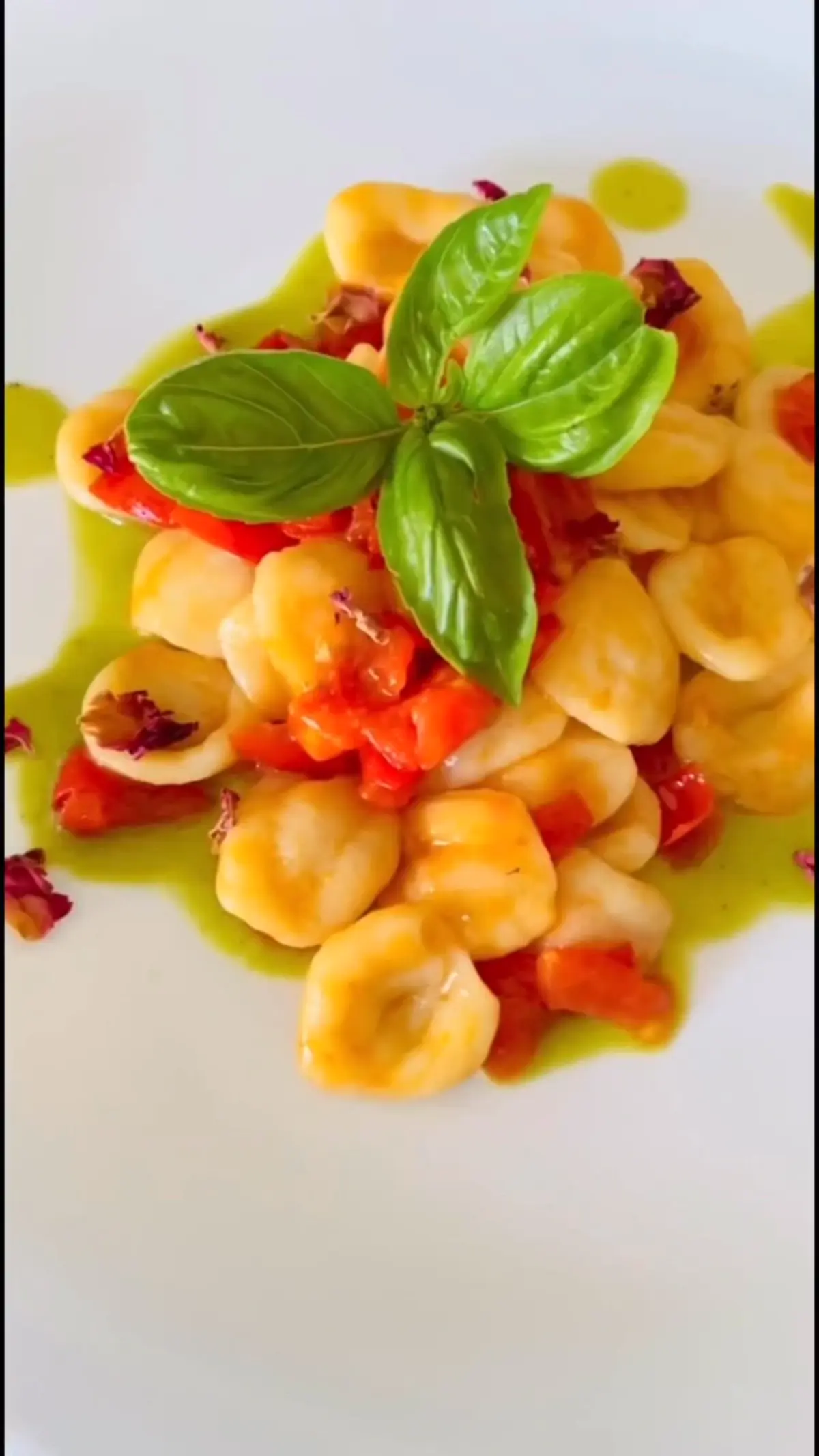 creation thumb for Homemade orecchiette with cherry tomatoes and pepper sauce