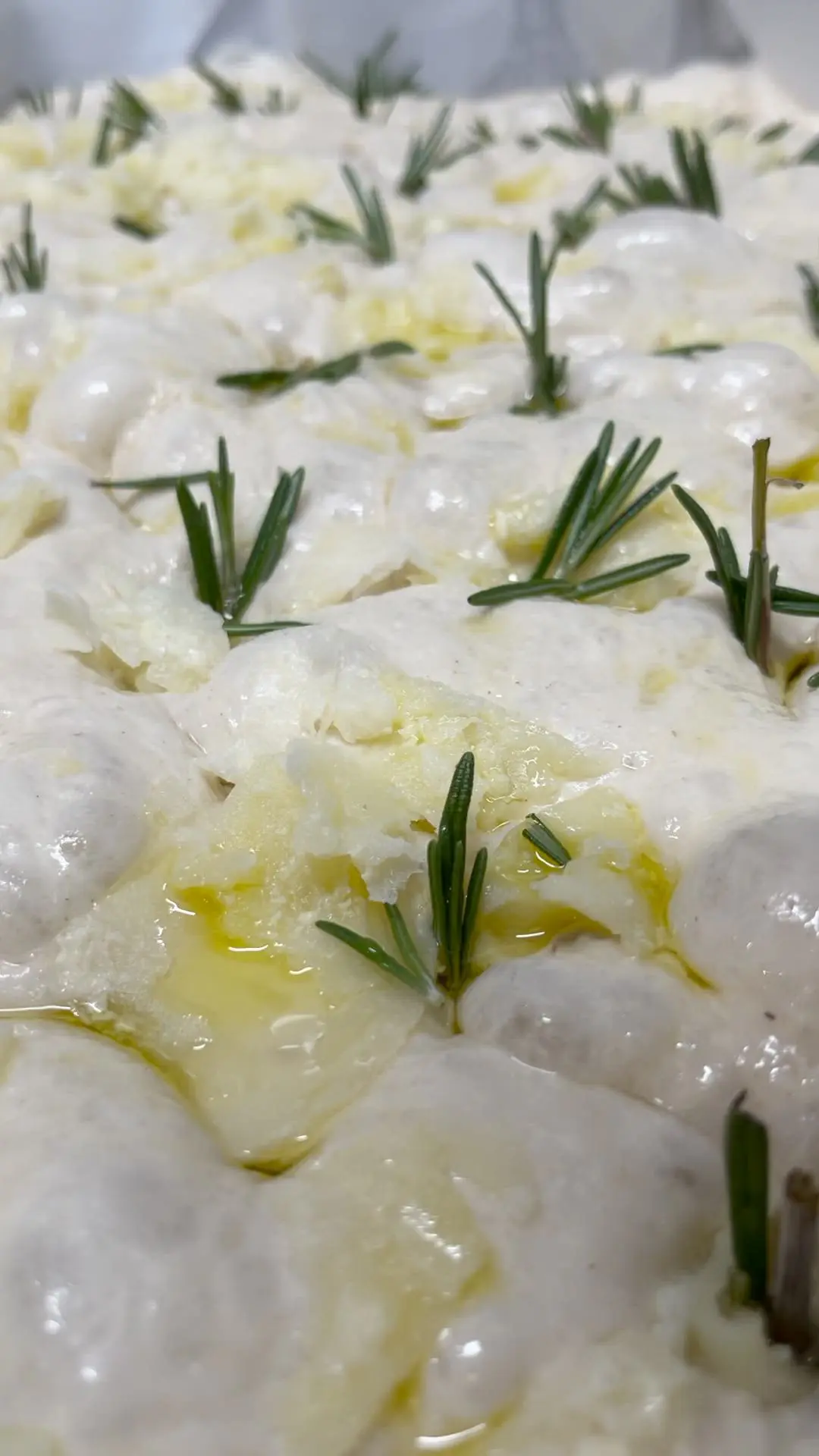 creation thumb for Rosemary & Potato Focaccia
