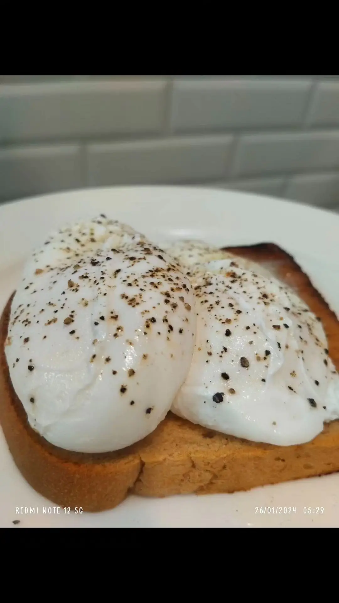 creation thumb for Poached egg