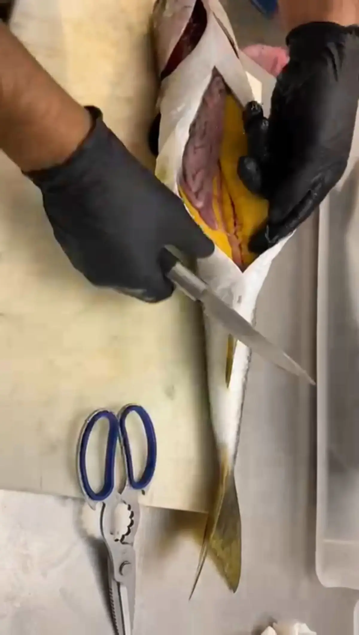 creation thumb for Bottarga di Muggine from Nora 