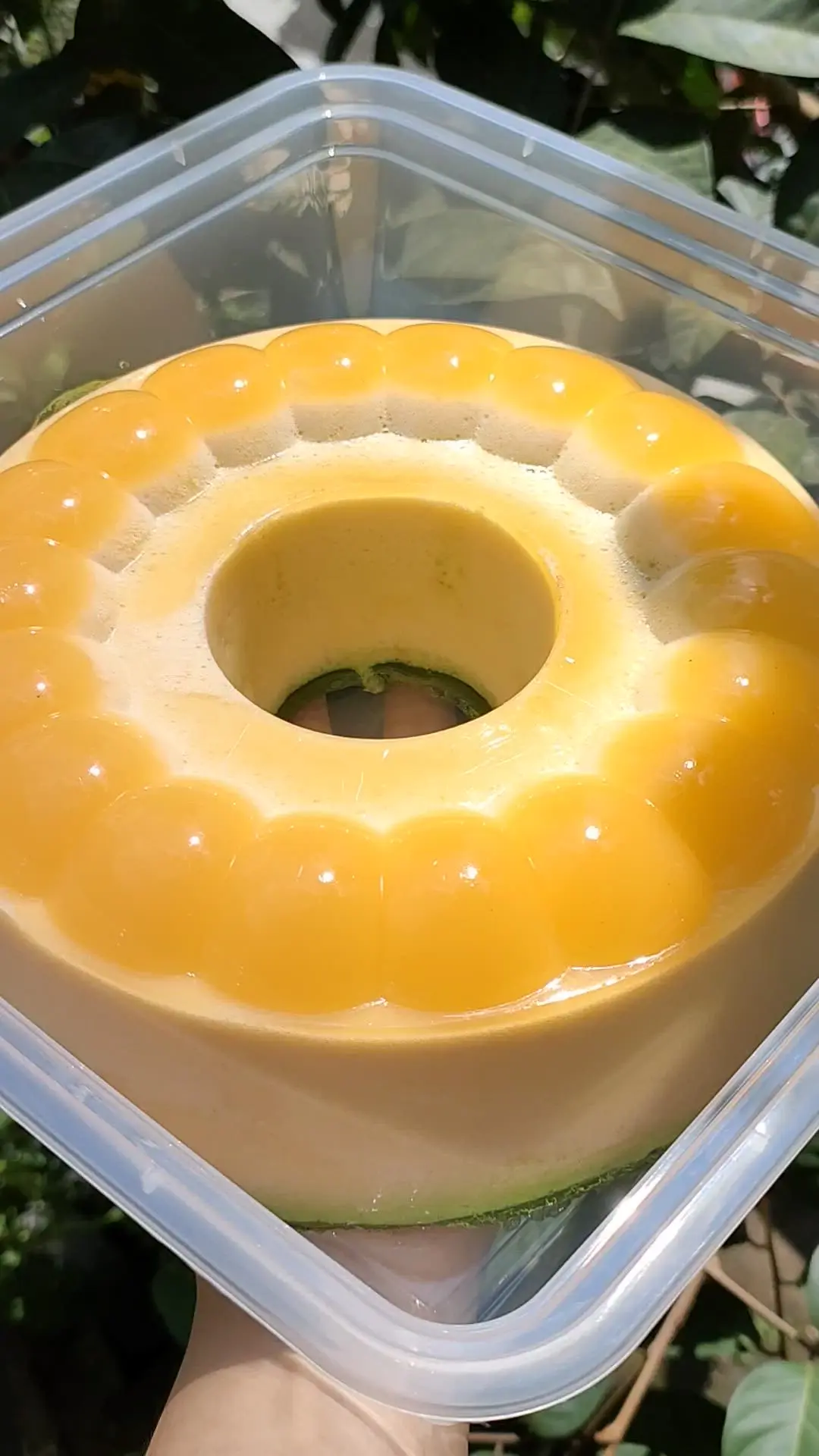 creation thumb for Orange pudding cake