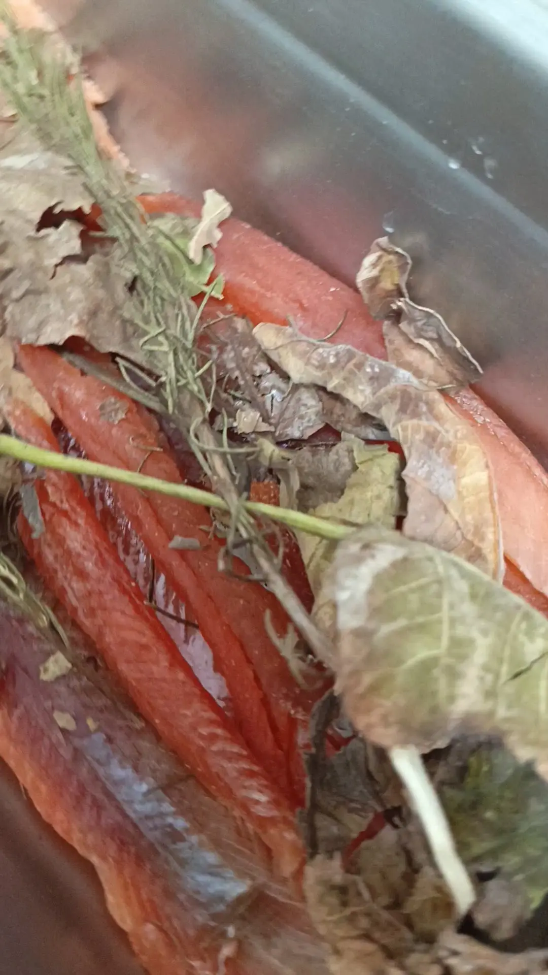 creation thumb for Smoked cured trout
