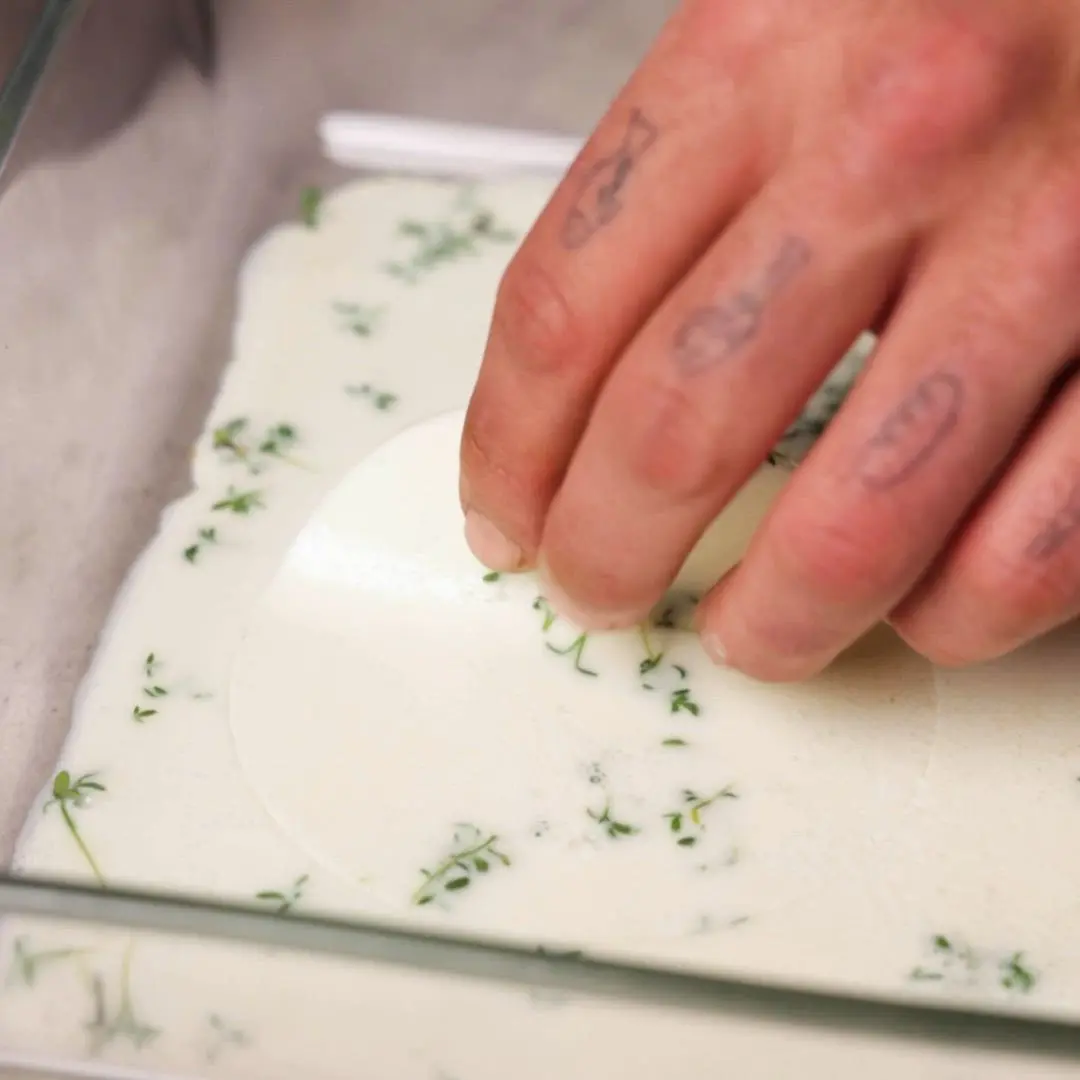 creation thumb for Yogurt and sprouts veil