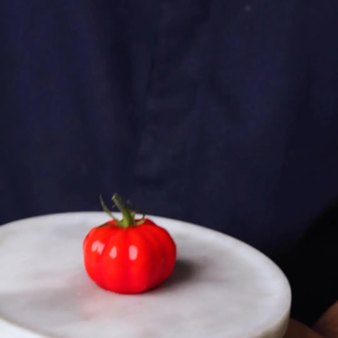 creation thumb for Fake Tomato 2.0