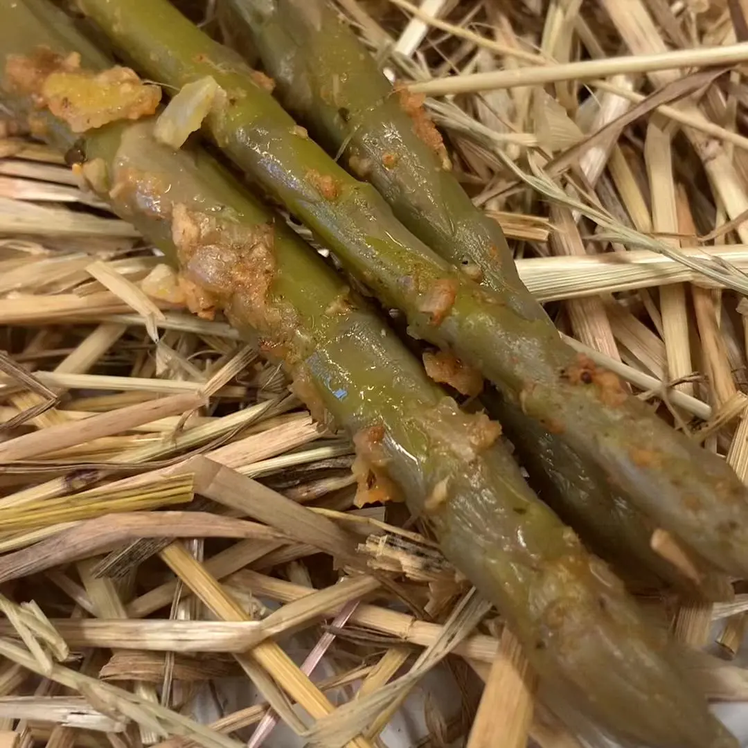 creation thumb for Asparagus Kimchi 💥