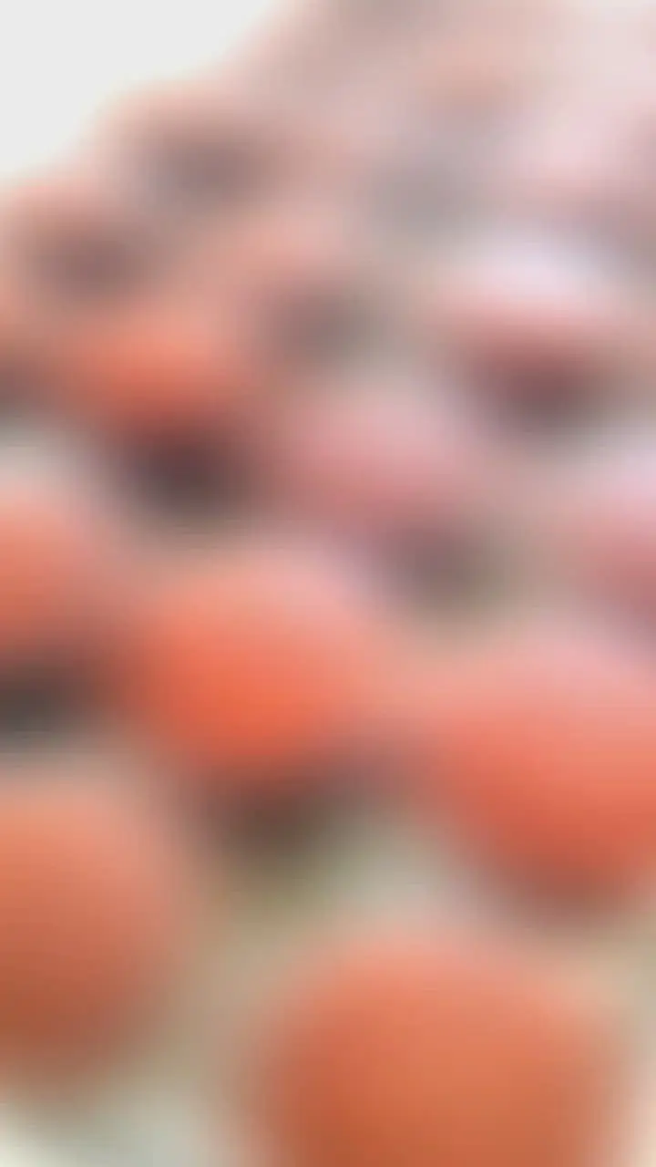 creation thumb for Chocolate Cupcakes