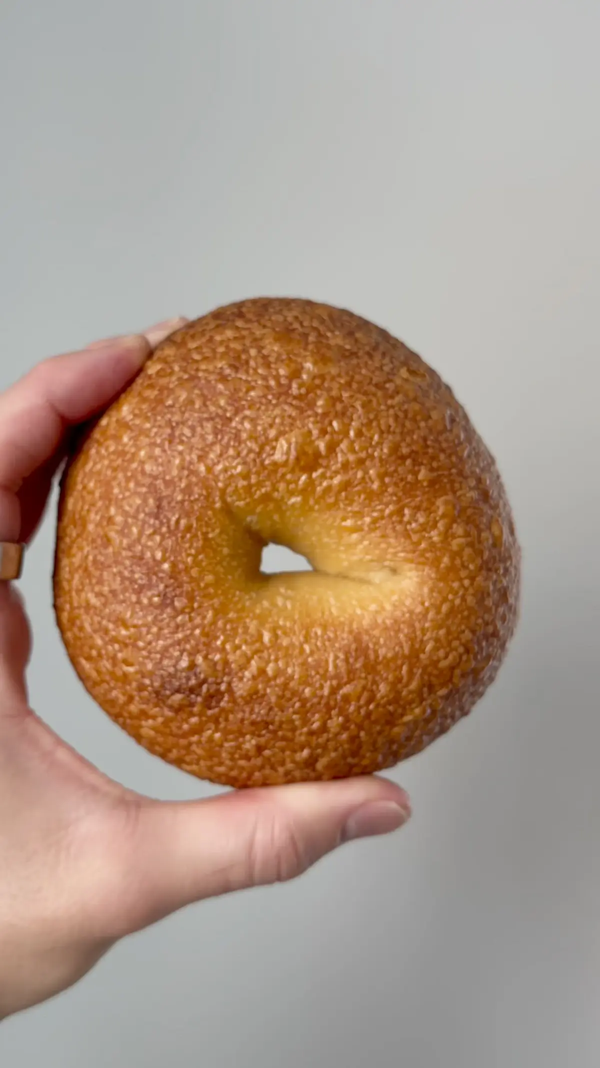 creation thumb for Two-day New York-Inspired Bagels
