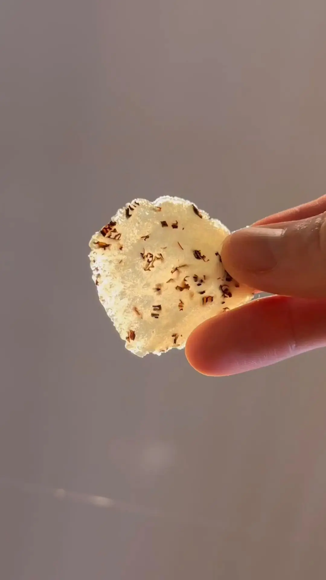 creation thumb for Morilles 🍄 Cracker