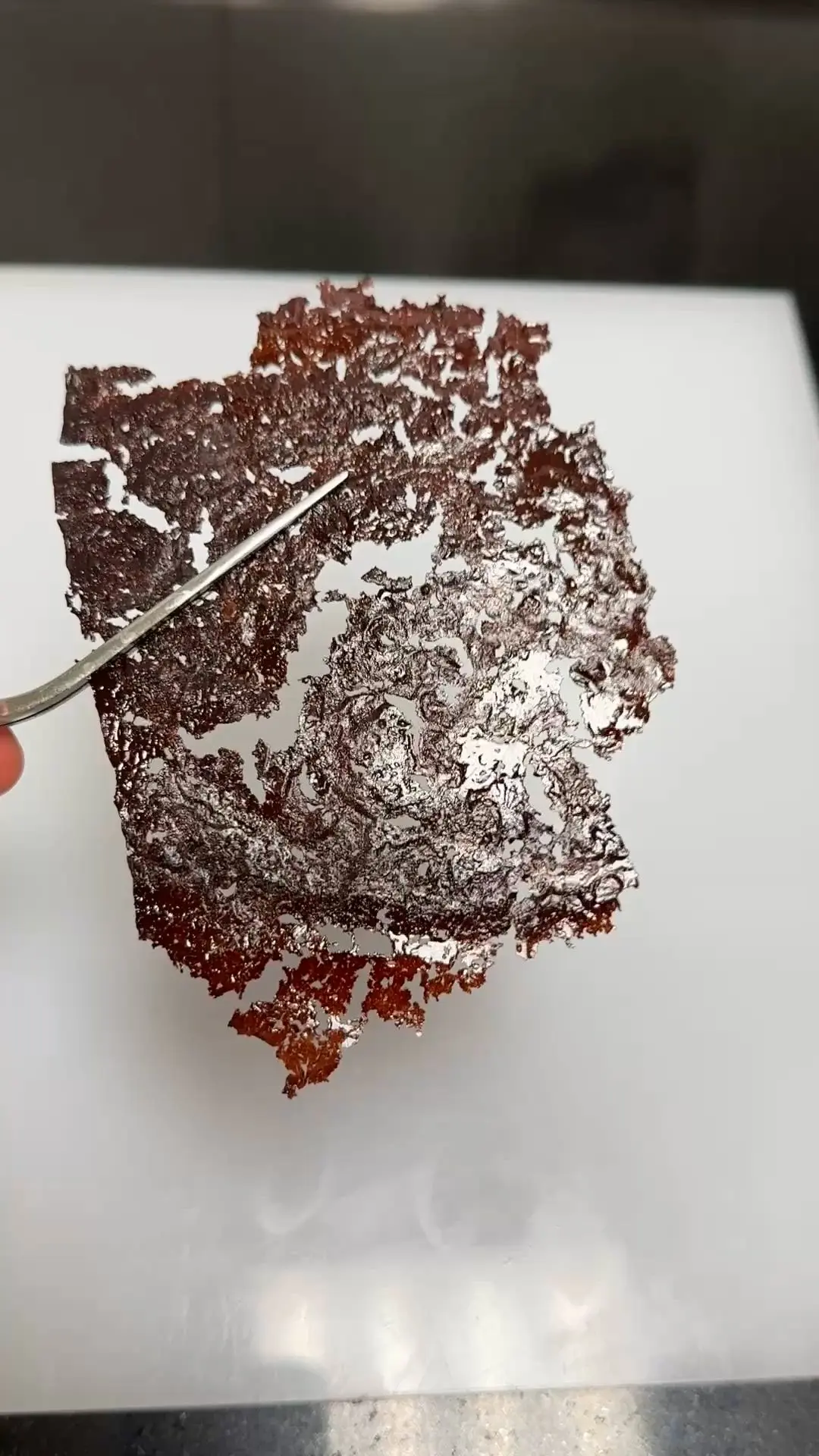 creation thumb for Eggless, Dairy-Free & Gluten-Free Chocolate Tuile